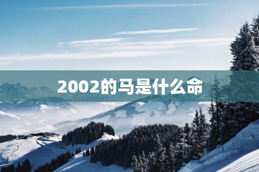 2002的马是什么命
