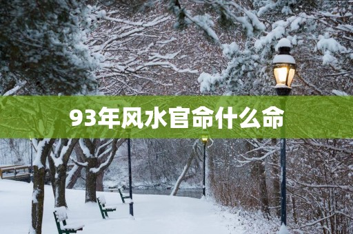 93年风水官命什么命