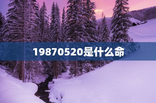 19870520是什么命