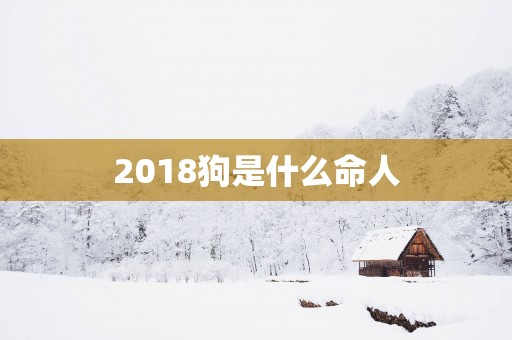 2018狗是什么命人