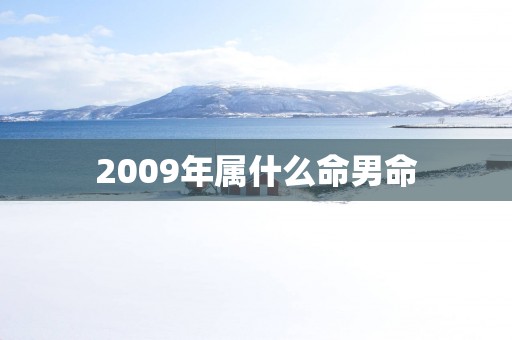 2009年属什么命男命