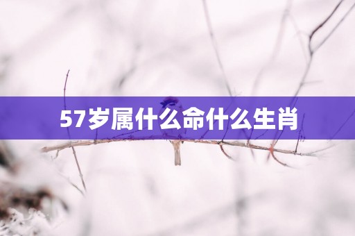 57岁属什么命什么生肖