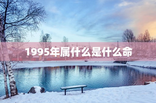 1995年属什么是什么命