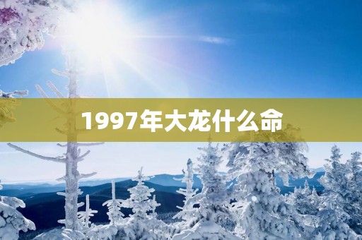 1997年大龙什么命