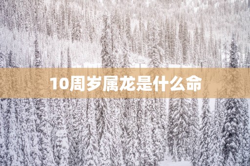 10周岁属龙是什么命
