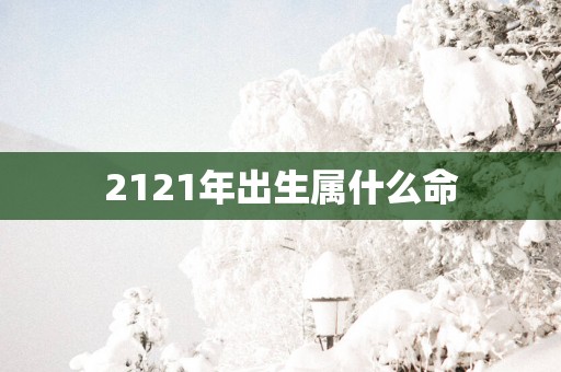2121年出生属什么命