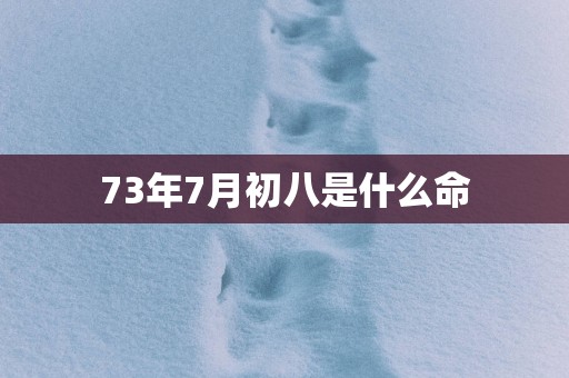 73年7月初八是什么命