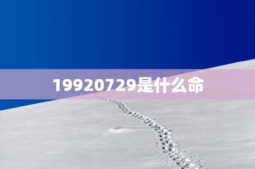 19920729是什么命
