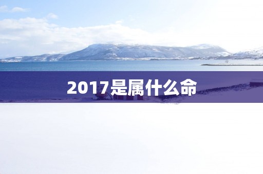 2017是属什么命