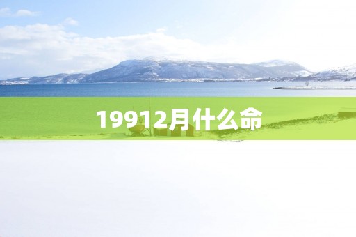 19912月什么命