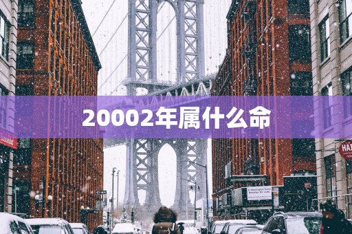 20002年属什么命