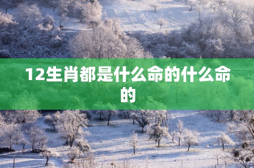 12生肖都是什么命的什么命的