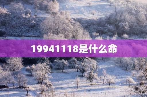 19941118是什么命