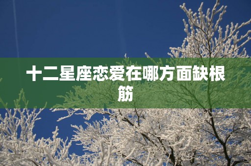 十二星座恋爱在哪方面缺根筋 十二星座恋爱在哪方面缺根筋