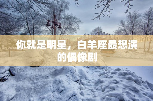 你就是明星，白羊座最想演的偶像剧