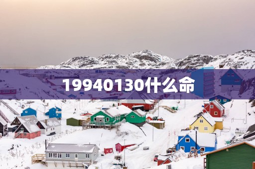 19940130什么命
