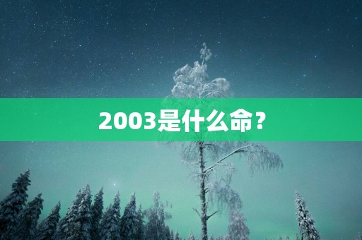 2003是什么命？