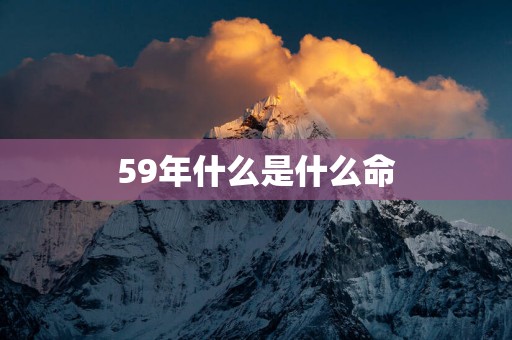 59年什么是什么命