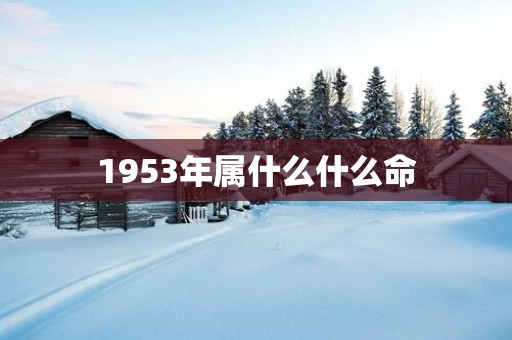 1953年属什么什么命