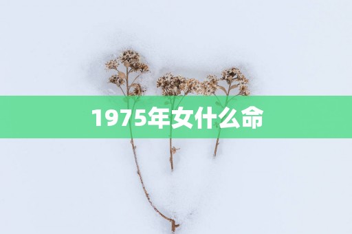 1975年女什么命