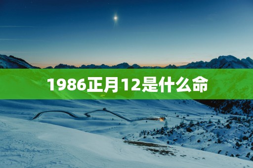1986正月12是什么命