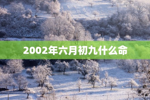 2002年六月初九什么命