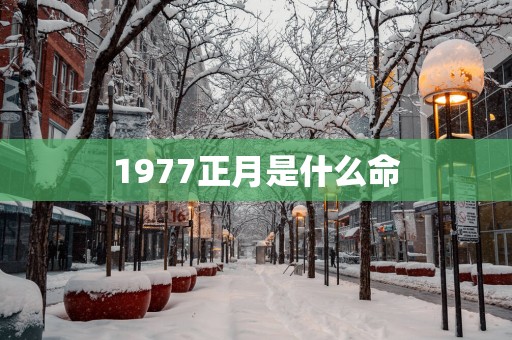 1977正月是什么命