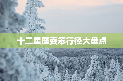 十二星座耍笨行径大盘点