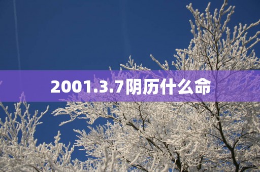2001.3.7阴历什么命