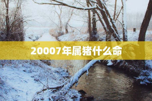 20007年属猪什么命