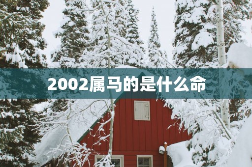 2002属马的是什么命