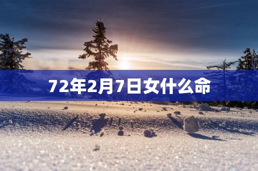 72年2月7日女什么命