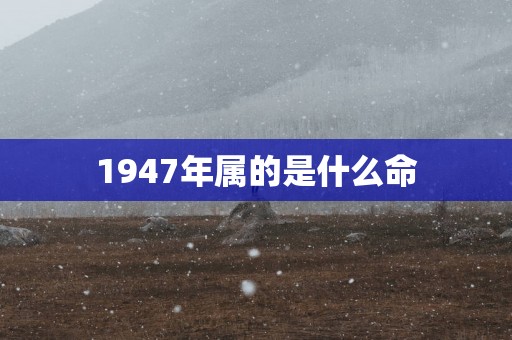 1947年属的是什么命