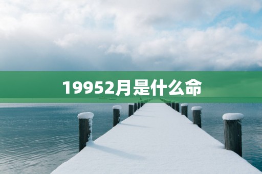 19952月是什么命