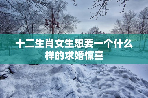 十二生肖女生想要一个什么样的求婚惊喜