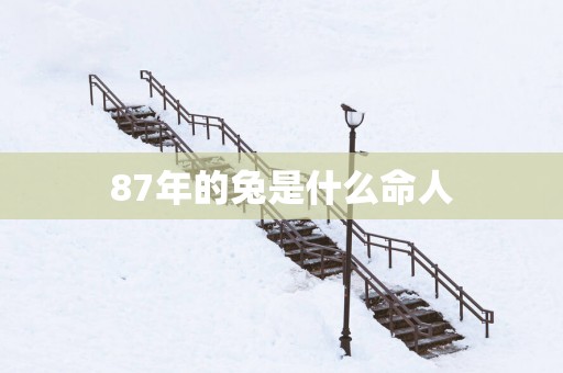 87年的兔是什么命人
