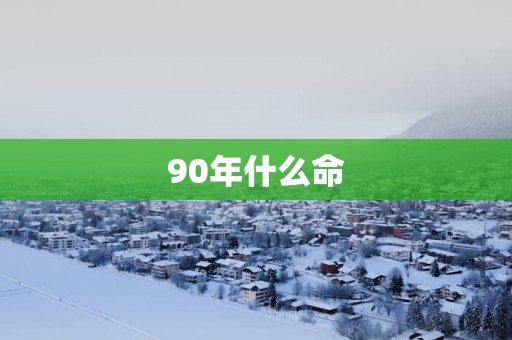 90年什么命