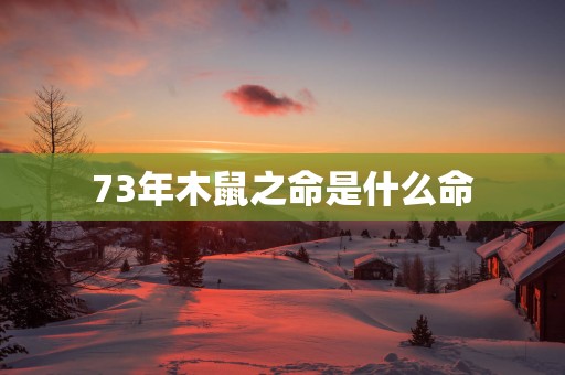 73年木鼠之命是什么命