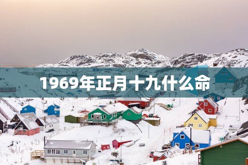 1969年正月十九什么命