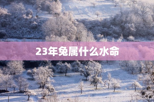 23年兔属什么水命