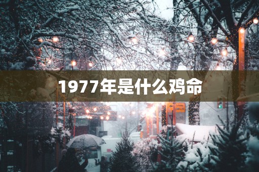 1977年是什么鸡命