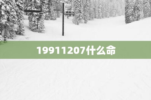19911207什么命