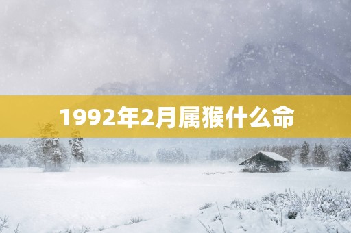 1992年2月属猴什么命