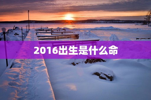 2016出生是什么命