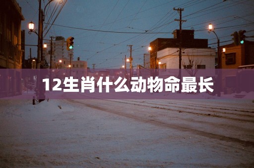 12生肖什么动物命最长
