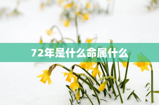 72年是什么命属什么