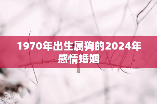 1970年出生属狗的2025年感情婚姻