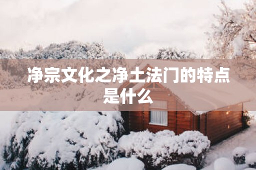 净宗文化之净土法门的特点是什么