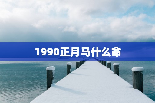 1990正月马什么命