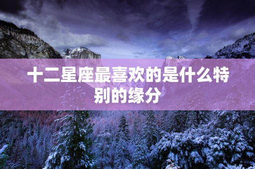 十二星座最喜欢的是什么特别的缘分